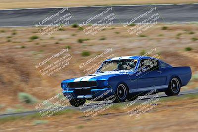 media/May-14-2023-Cobra Club (Sun) [[e55caaa618]]/Yellow Group/Afternoon Session Turn 2b/